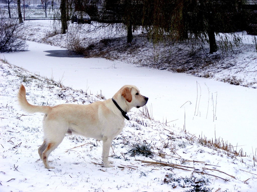 [december 2010 038[5].jpg]
