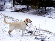 december 2010 038
