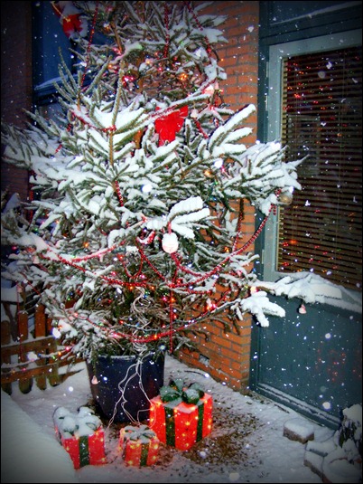 Kerstboom