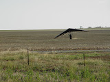 DSC07636.JPG
