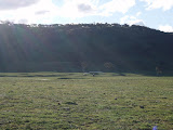 P8130021.JPG