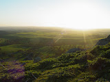 DSC07171.JPG