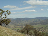 DSC07193.JPG