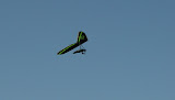 DSC07231.JPG