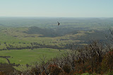 DSC07262.JPG