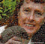 photomosaic-04.jpg