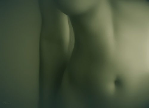 Desnudo