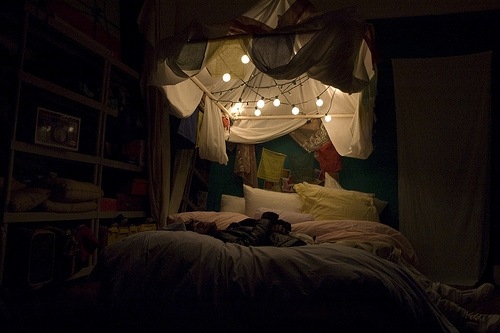 [Casa de Valentina - via Flickr Bird Party[4].jpg]