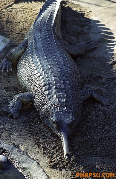 nature_22.jpg