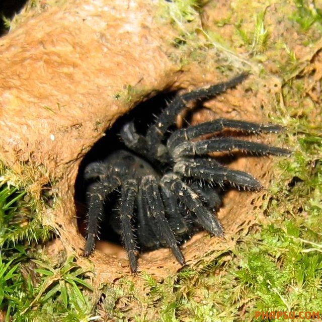 nature_43.jpg