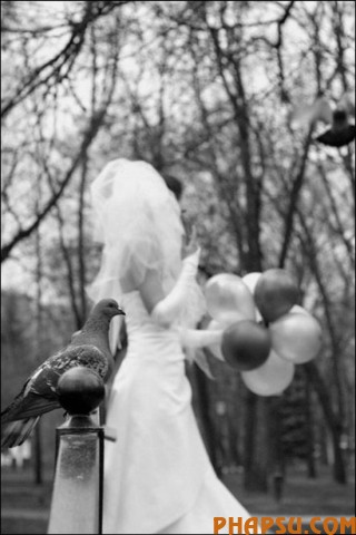 wedding_photo_project_09.jpg