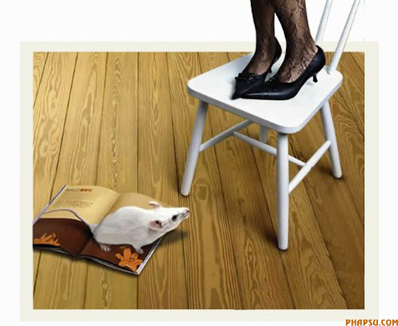 mouse.jpg
