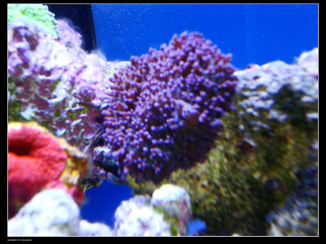 DSC00052.JPG