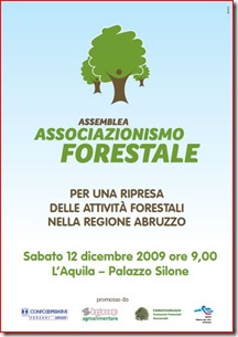 manifesto assemblea