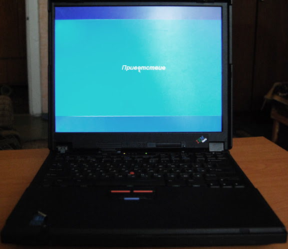 IBM ThinkPad 390E