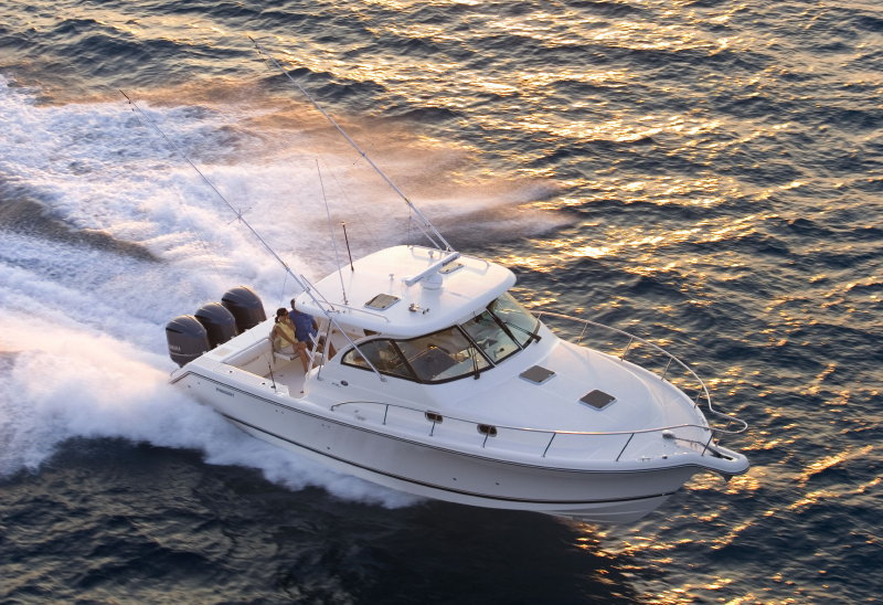 Evermarine Pursuit OS3 75
