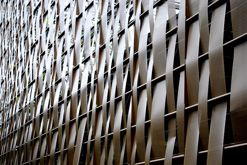 bienal 3