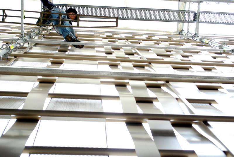 bienal 2