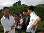 Kebun Teh Solok.JPG