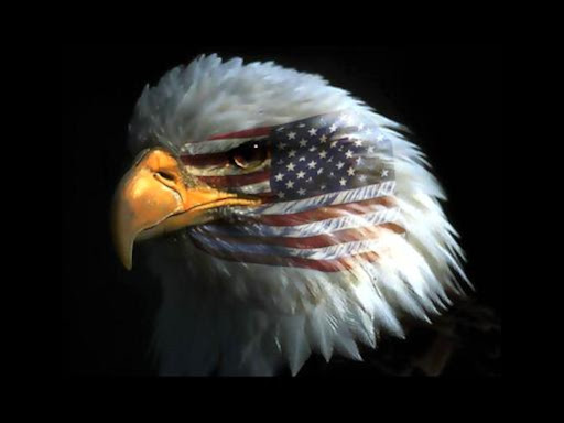 99486_US_AguilaInjerencia.jpg