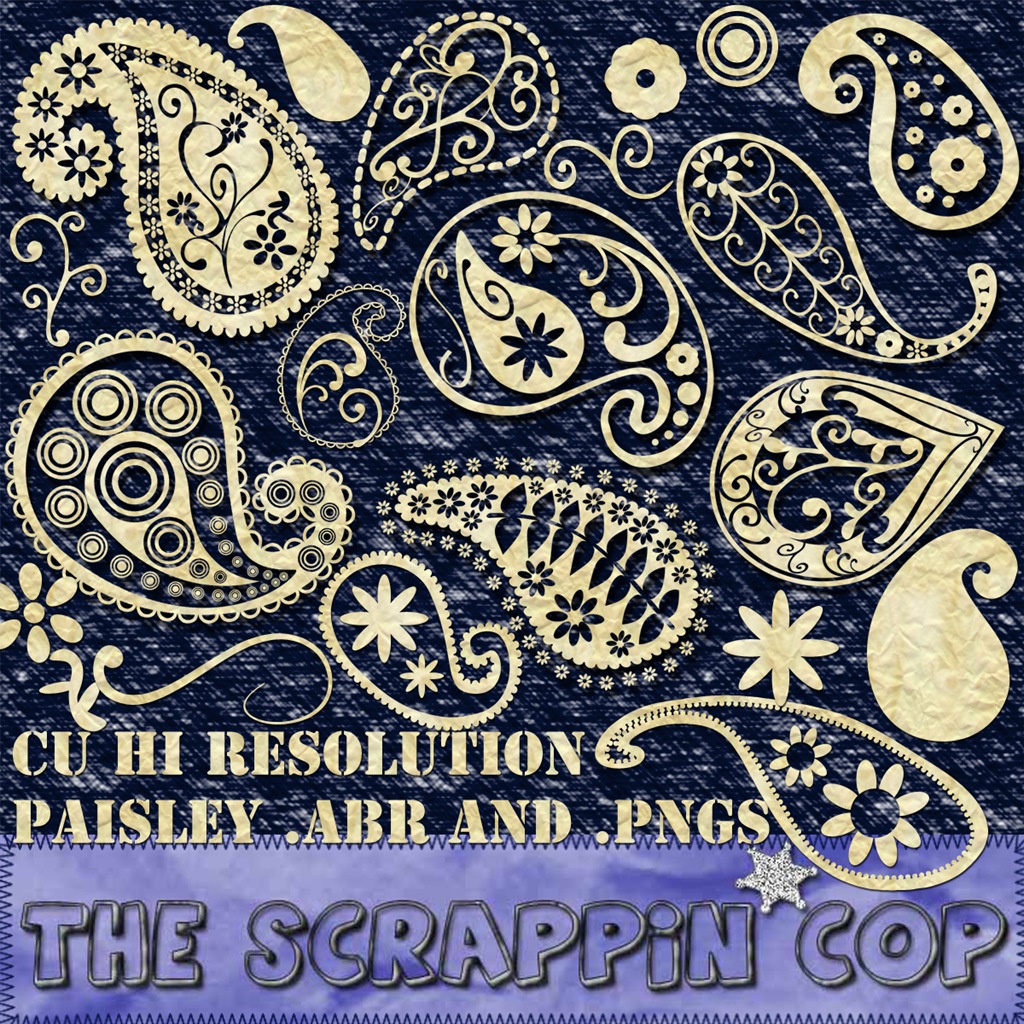 [SC_CUFunkyPaisleyPreview[5].jpg]