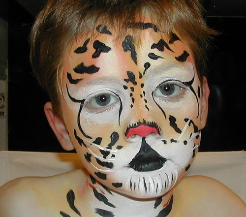 Maquillaje De Animales