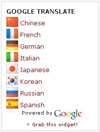 [google-translate-mini-flags-vertical[3].jpg]