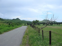 牧場的路 Photo