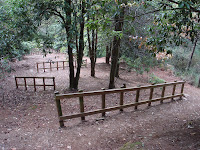 DSC08979.JPG