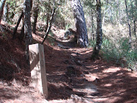 DSC00233 (2).JPG
