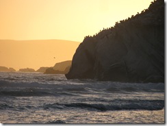 pismo -July 22 09 036