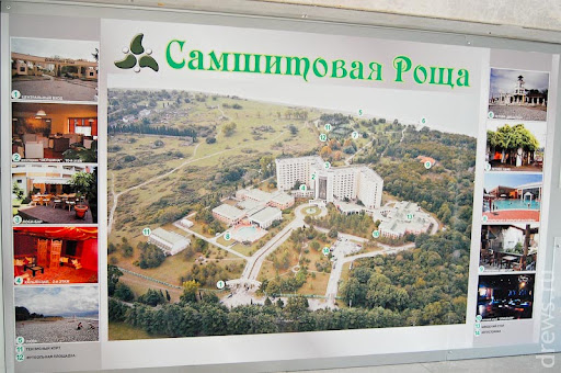Самшитовая роща