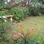 Poppyde's Native garden