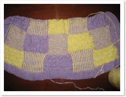 Purple_Yellow_Knit_Blanket_03-31-2010