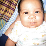 Drunk on mommy's milk...