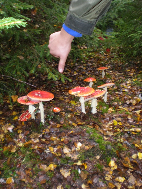 [P9150037[7].jpg]