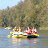 Terra dei Forti 2008