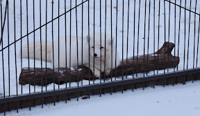 Про вчерашнее