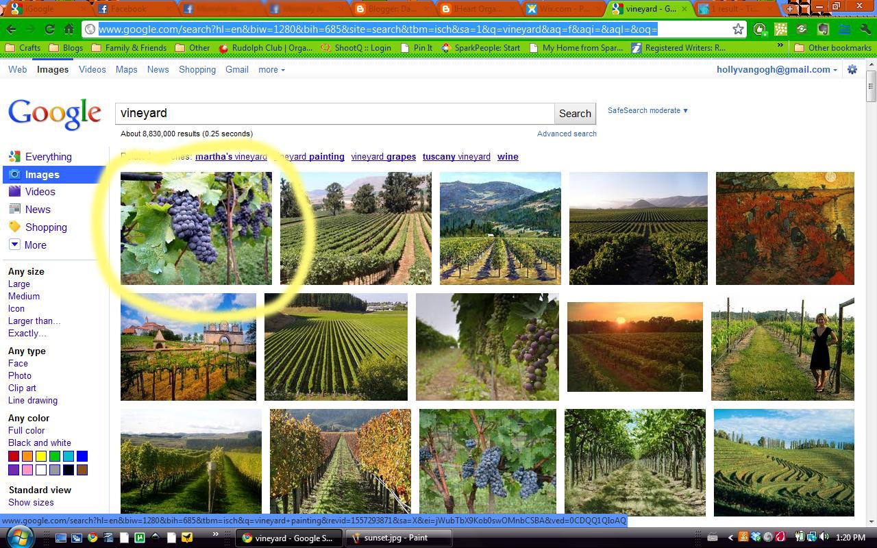 [vineyard[1].jpg]