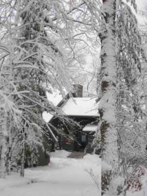 Home for the holidays...
