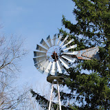 hayes arboretum