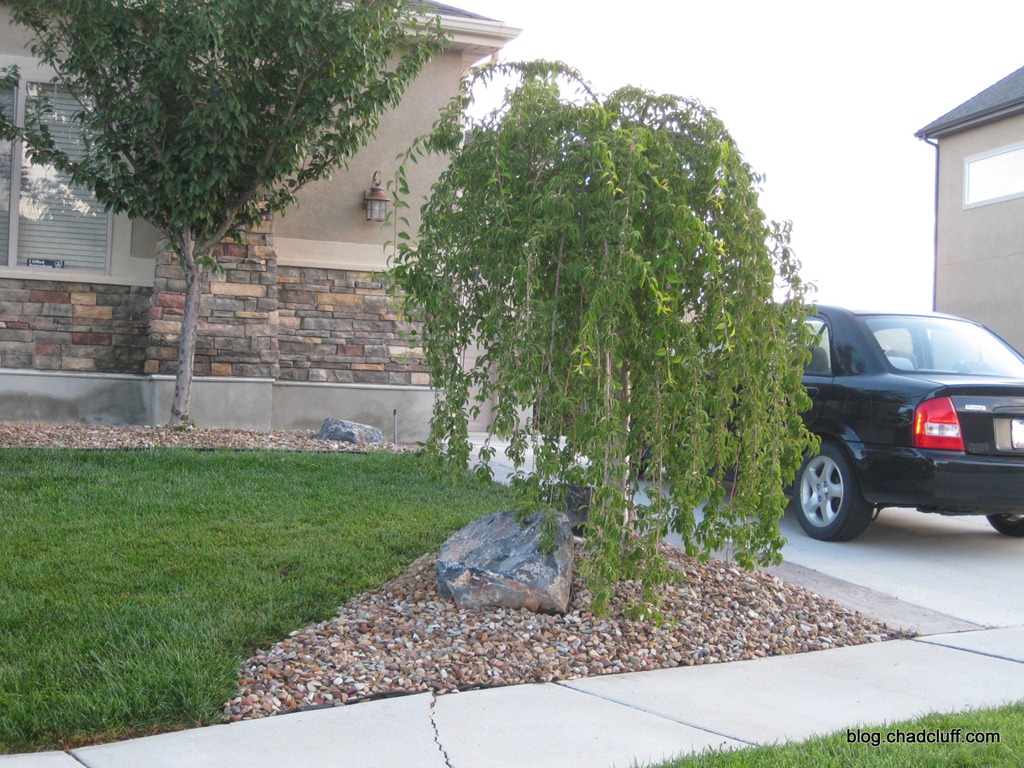 [Yard Rock 004[2].jpg]