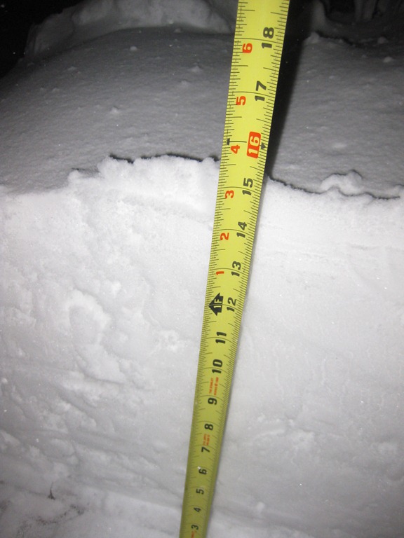 [Snowy Winter Day 031[3].jpg]