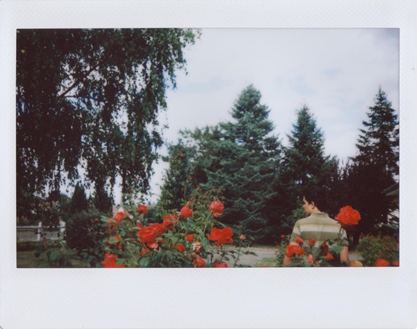 roses