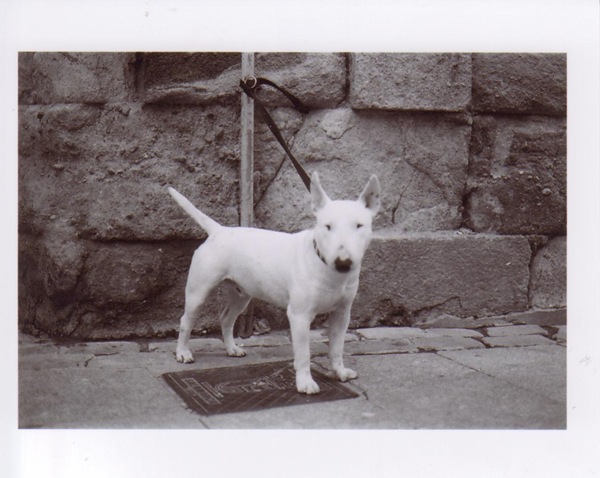 Image12
