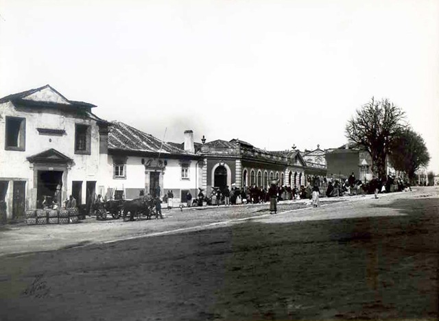 [Porto_Mercadao do Peixe_2[8].jpg]