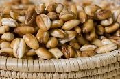 [roasted grain[4].jpg]