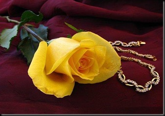 Significado De La Rosa Amarilla