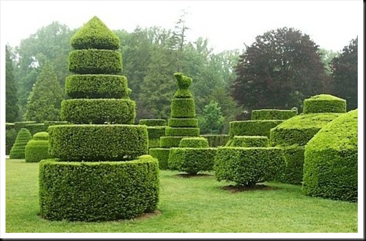 topiary (1)