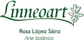 logo.gif
